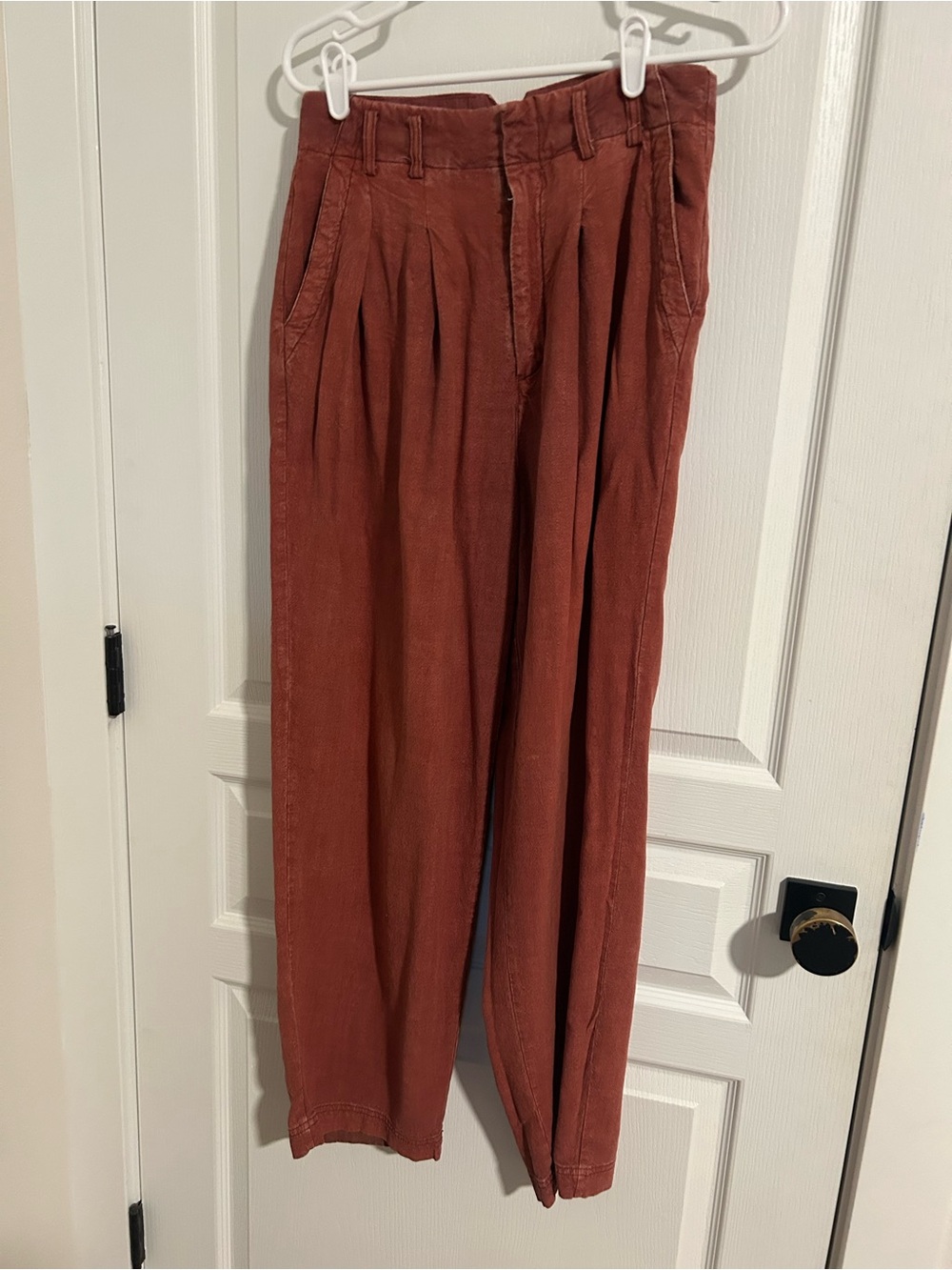 Free People Pleated Balloon Pants